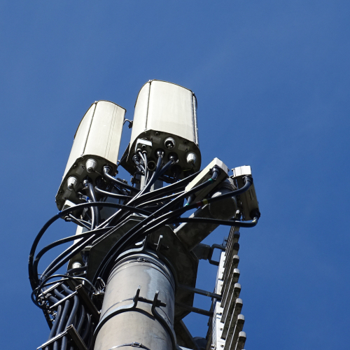 454999723__54338 Schweich 2.JPG